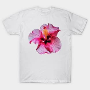 Pink Hibiscus flower art print T-Shirt